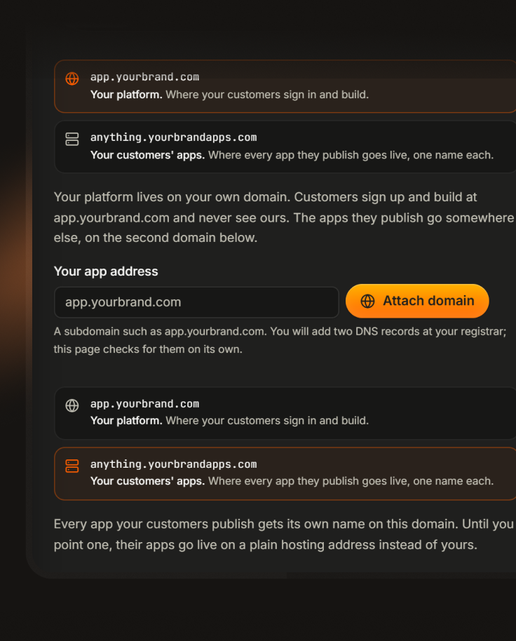 Platform domain attach and DNS settings